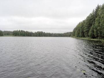 Фото номера Дом для отпуска Дома для отпуска Holiday Home Inkeri г. Holiseva 28